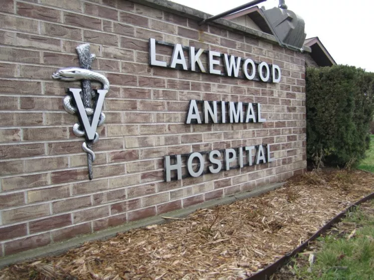 Lakewood Animal Hospital, Illinois, Morris